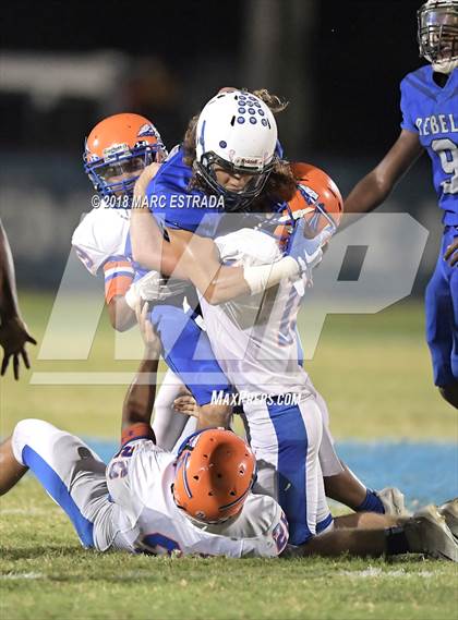 Thumbnail 3 in Osceola @ Dixie Hollins photogallery.