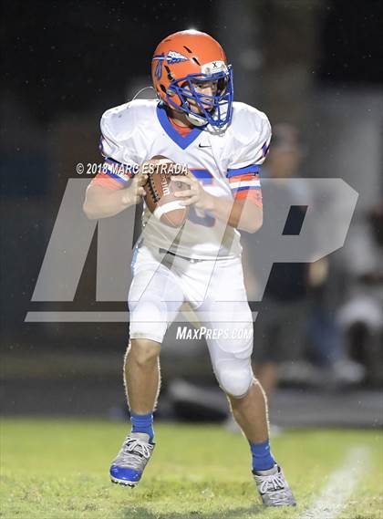 Thumbnail 3 in Osceola @ Dixie Hollins photogallery.