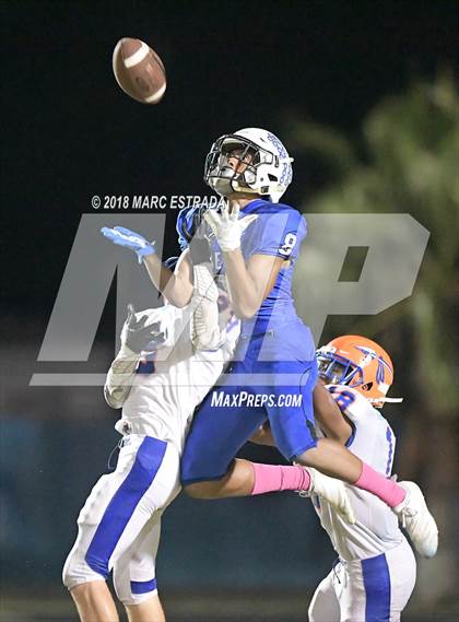 Thumbnail 1 in Osceola @ Dixie Hollins photogallery.