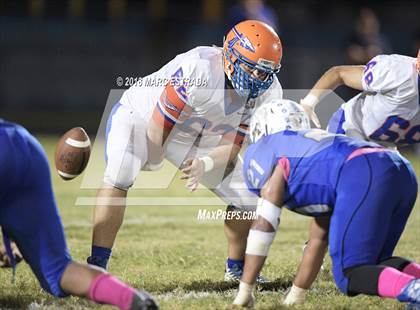 Thumbnail 3 in Osceola @ Dixie Hollins photogallery.