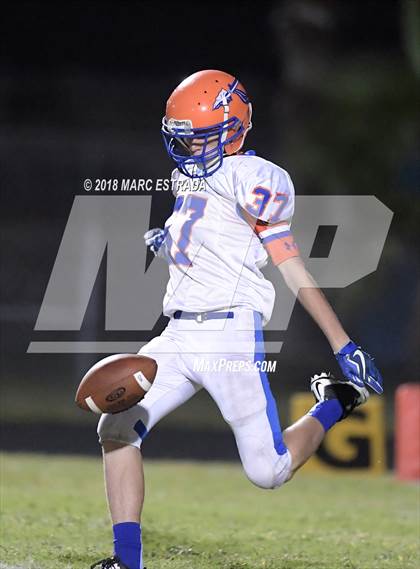 Thumbnail 1 in Osceola @ Dixie Hollins photogallery.