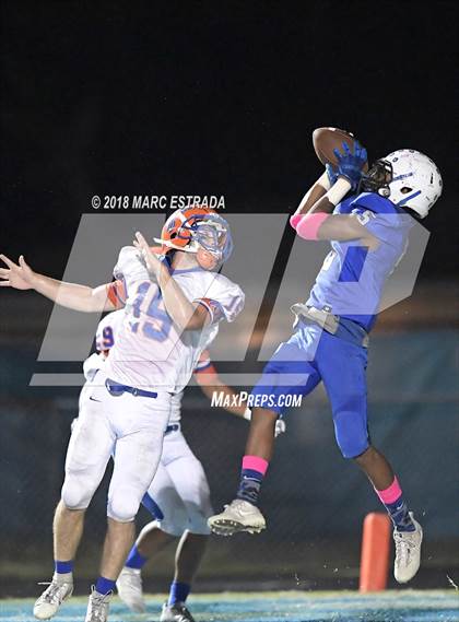 Thumbnail 2 in Osceola @ Dixie Hollins photogallery.