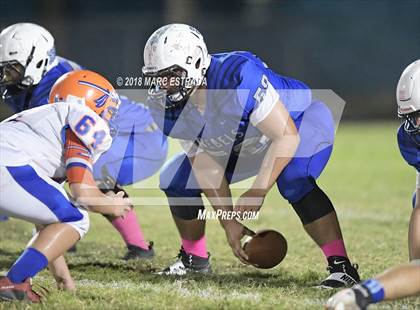 Thumbnail 2 in Osceola @ Dixie Hollins photogallery.