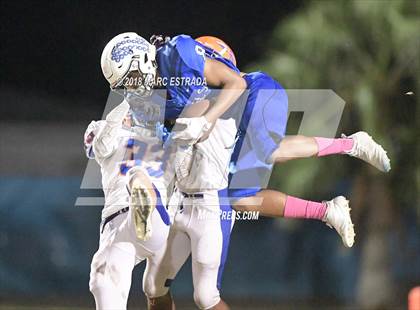 Thumbnail 3 in Osceola @ Dixie Hollins photogallery.