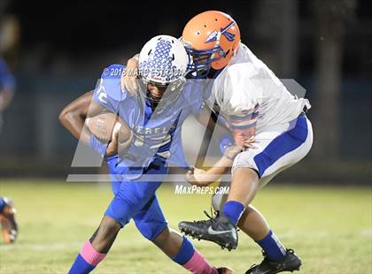 Thumbnail 3 in Osceola @ Dixie Hollins photogallery.