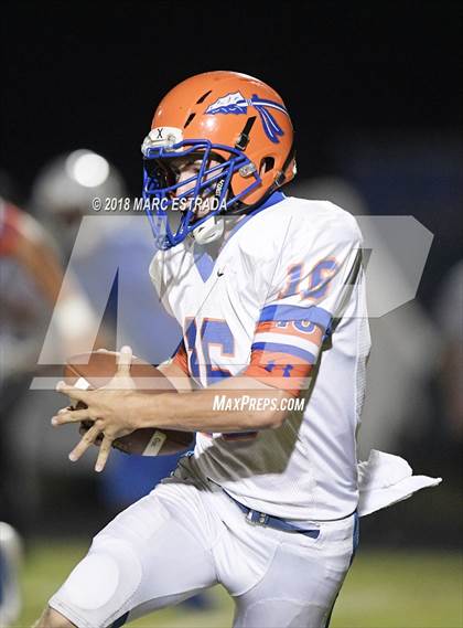 Thumbnail 2 in Osceola @ Dixie Hollins photogallery.