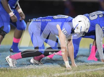 Thumbnail 1 in Osceola @ Dixie Hollins photogallery.