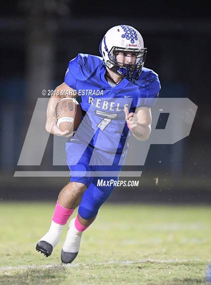 Thumbnail 3 in Osceola @ Dixie Hollins photogallery.
