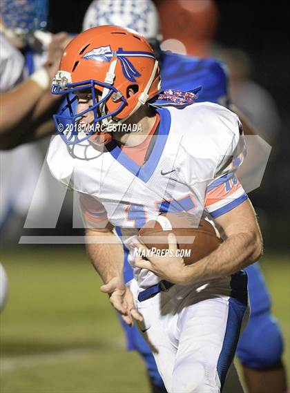 Thumbnail 2 in Osceola @ Dixie Hollins photogallery.