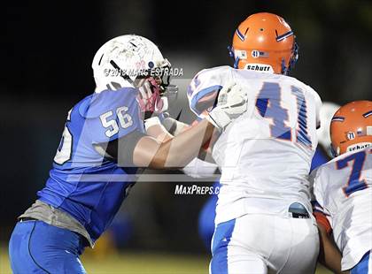 Thumbnail 2 in Osceola @ Dixie Hollins photogallery.