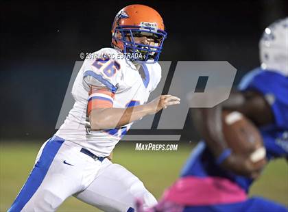 Thumbnail 2 in Osceola @ Dixie Hollins photogallery.