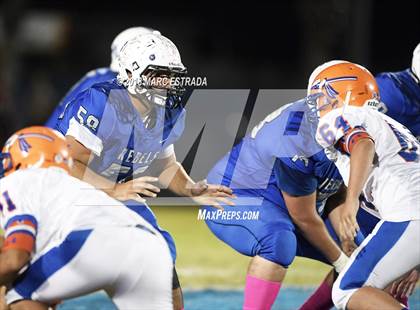 Thumbnail 1 in Osceola @ Dixie Hollins photogallery.