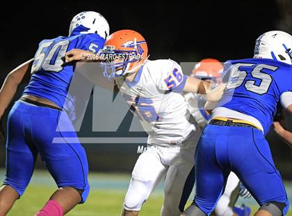 Thumbnail 1 in Osceola @ Dixie Hollins photogallery.