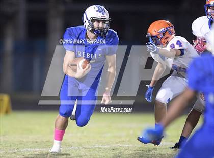 Thumbnail 1 in Osceola @ Dixie Hollins photogallery.
