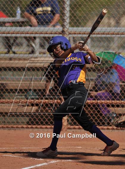 Thumbnail 3 in Horizon vs Queen Creek (Desert Mountain Invitational) photogallery.