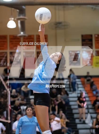 Thumbnail 2 in Harlan @ Medina Valley photogallery.