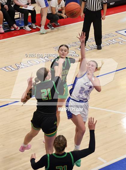 Thumbnail 3 in Green County @ Adair County photogallery.