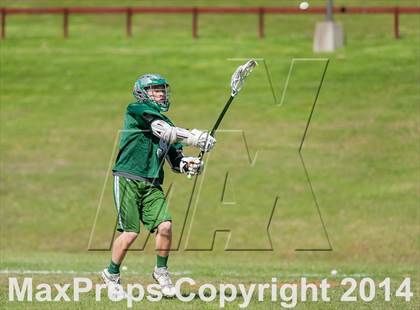 Thumbnail 3 in Brewster @ Pawling photogallery.