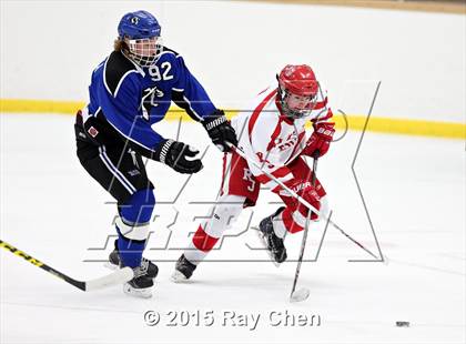 Thumbnail 1 in Resurrection Christian @ Regis Jesuit photogallery.
