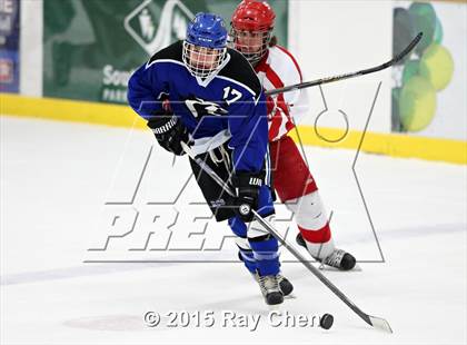 Thumbnail 3 in Resurrection Christian @ Regis Jesuit photogallery.