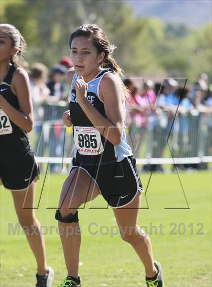 Thumbnail 3 in AIA State Cross Country Championships (D2 Girls) photogallery.