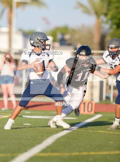 Thumbnail 1 in Cactus Shadows @ Williams Field photogallery.