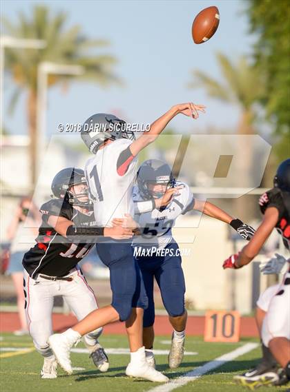 Thumbnail 3 in Cactus Shadows @ Williams Field photogallery.