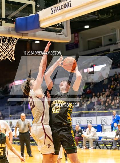 Thumbnail 3 in Alexander vs. Byron-Bergen photogallery.