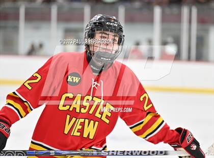 Thumbnail 1 in Castle View @ Chaparral photogallery.
