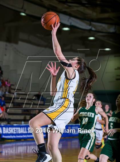 Thumbnail 1 in Northern Adirondack vs. South Seneca (NYSPHSAA Class C Semifinal) photogallery.
