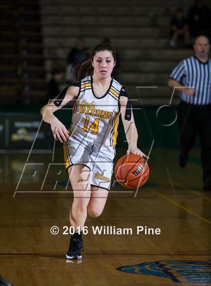 Thumbnail 2 in Northern Adirondack vs. South Seneca (NYSPHSAA Class C Semifinal) photogallery.