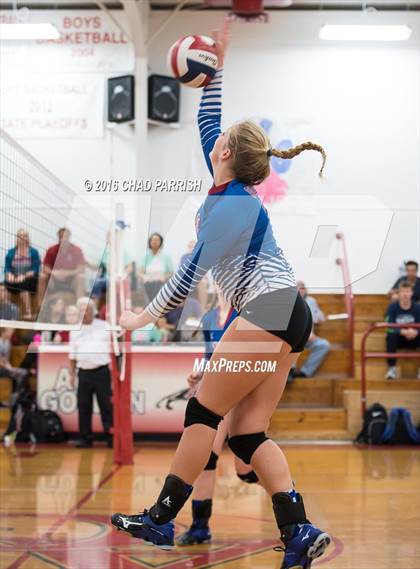 Thumbnail 3 in Quitman @ Alba-Golden photogallery.