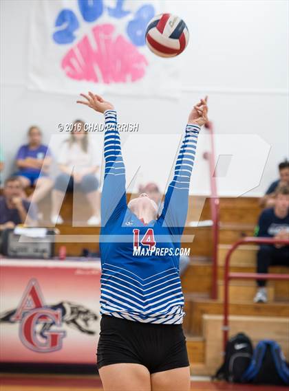 Thumbnail 1 in Quitman @ Alba-Golden photogallery.