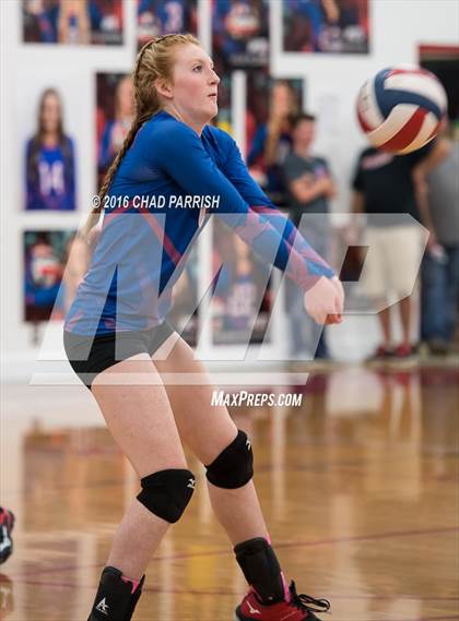 Thumbnail 1 in Quitman @ Alba-Golden photogallery.