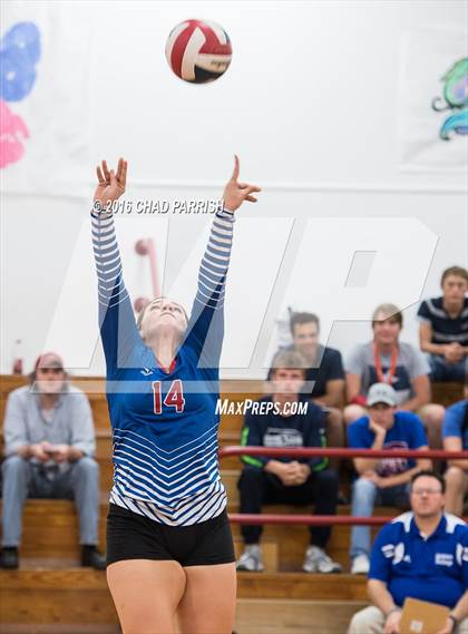 Thumbnail 2 in Quitman @ Alba-Golden photogallery.
