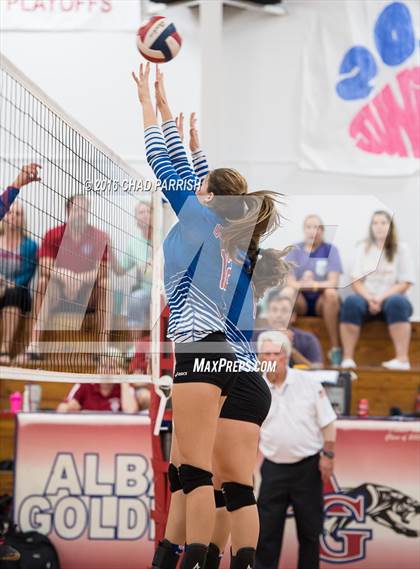 Thumbnail 3 in Quitman @ Alba-Golden photogallery.
