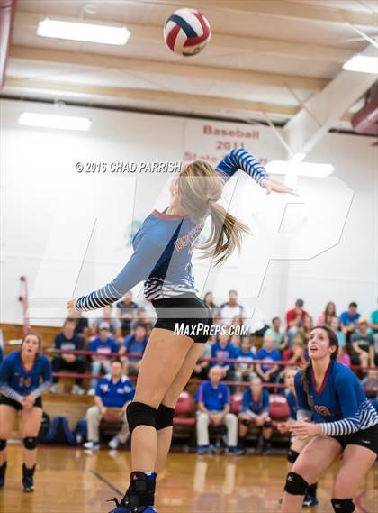 Thumbnail 2 in Quitman @ Alba-Golden photogallery.