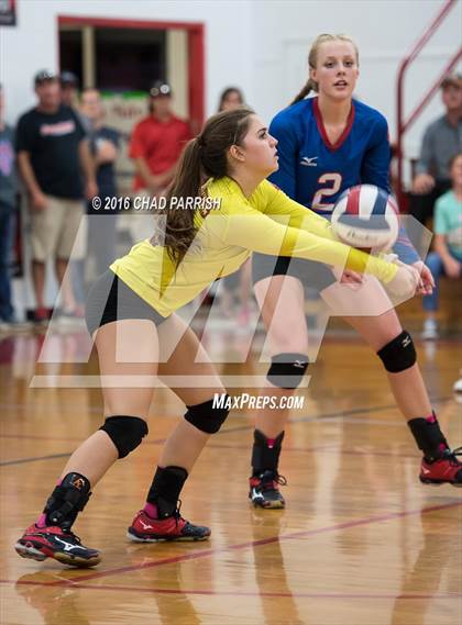 Thumbnail 3 in Quitman @ Alba-Golden photogallery.