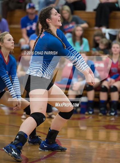 Thumbnail 2 in Quitman @ Alba-Golden photogallery.