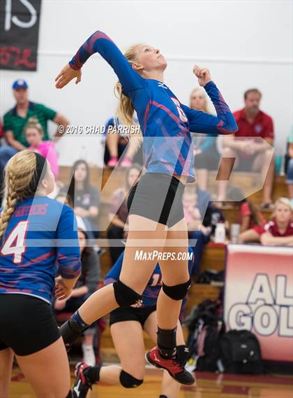 Thumbnail 1 in Quitman @ Alba-Golden photogallery.