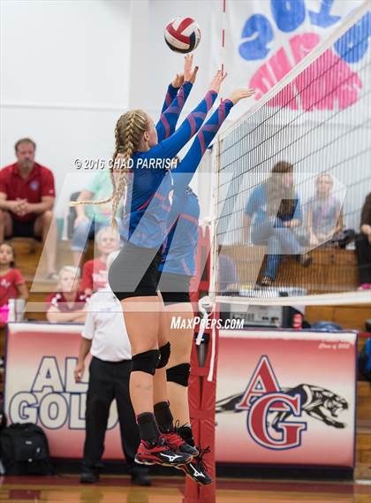 Thumbnail 1 in Quitman @ Alba-Golden photogallery.