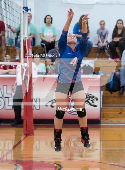 Thumbnail 3 in Quitman @ Alba-Golden photogallery.