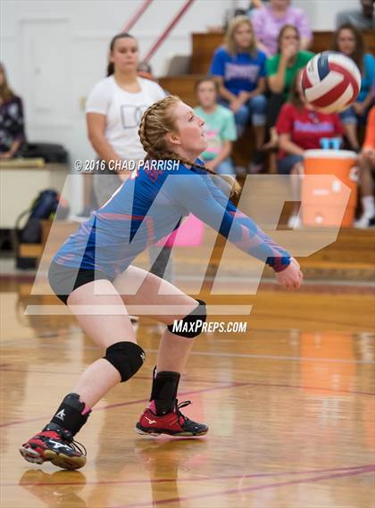 Thumbnail 2 in Quitman @ Alba-Golden photogallery.
