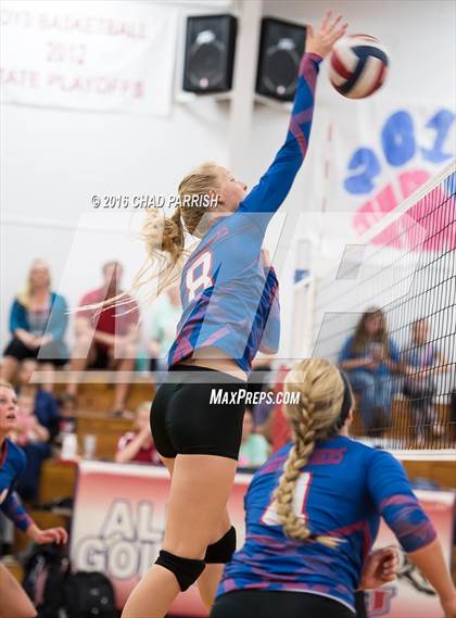 Thumbnail 3 in Quitman @ Alba-Golden photogallery.
