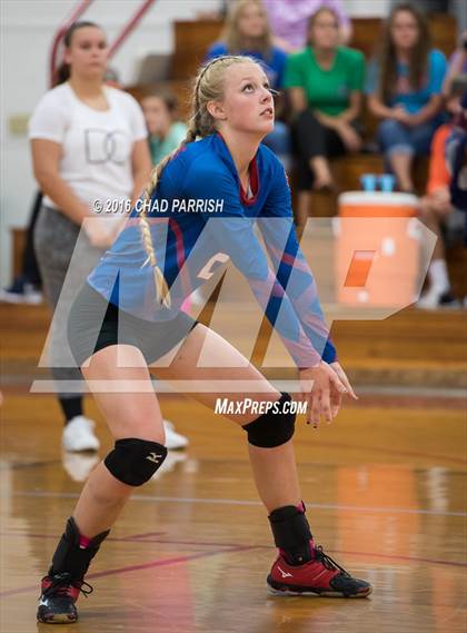 Thumbnail 2 in Quitman @ Alba-Golden photogallery.