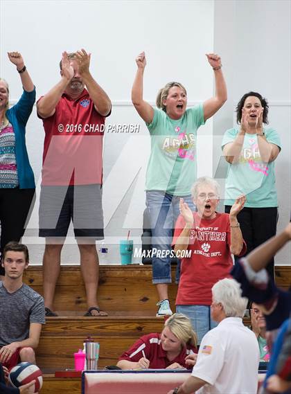 Thumbnail 2 in Quitman @ Alba-Golden photogallery.