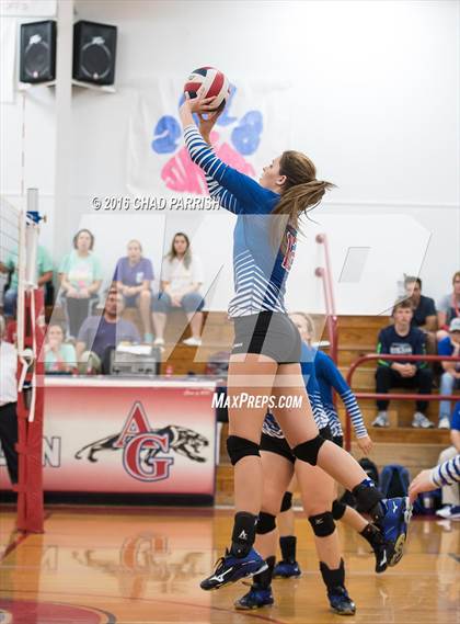 Thumbnail 2 in Quitman @ Alba-Golden photogallery.