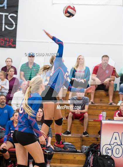 Thumbnail 1 in Quitman @ Alba-Golden photogallery.