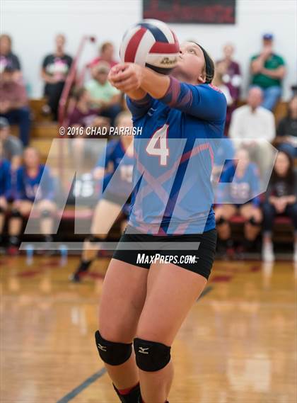 Thumbnail 3 in Quitman @ Alba-Golden photogallery.
