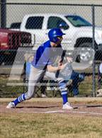 Photo from the gallery "Marshall @ Cotter"